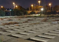 فيديو: عودة قطيع الثعالب البرية "ابن اوى" داخل مقبرة طاسو 